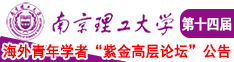 美女爆乳嫩逼爆操南京理工大学第十四届海外青年学者紫金论坛诚邀海内外英才！